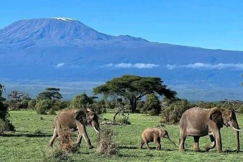 4-dagers Amboseli National Park Safari fra Nairobi