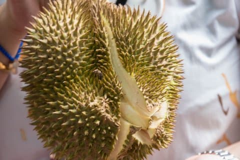 チャウキットマーケット、カンポン&ムルタバック:リアルKLが明らかに
