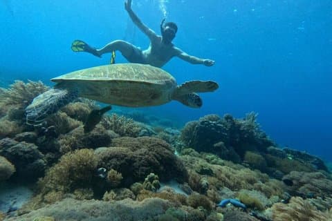 Komodo Speedboat Tour from Labuan Bajo