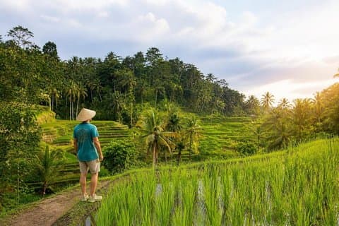 Tour privado de un día a Ubud con todo incluido