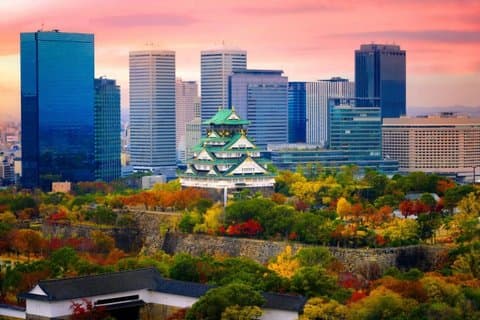 Osaka Private Tour with English Speaking Driver