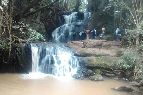 Nairobi Karura Waterfalls Guided Day Tour