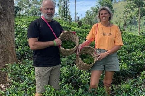 Greenwood Tea Plantation Tour in Nawalapitiya Sri Lanka