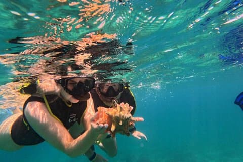 Turtle Snorkeling Experience in Vieques