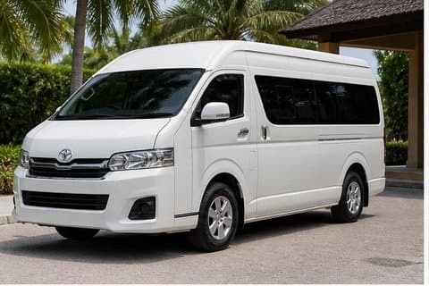 VIP privat transportservice flygplats