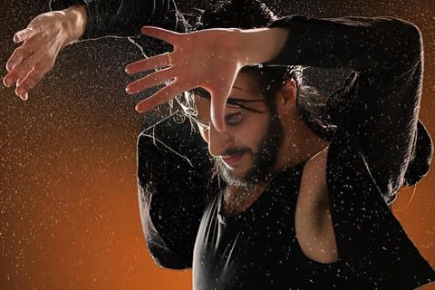 La Perla del Born - Flamenco-Shows