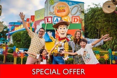 OFERTA ESPECIAL : Entrada Walt Disney World Resort After 2pm de 3 días