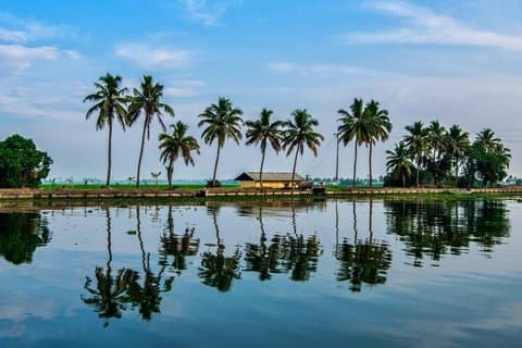 Cochin: 5-Day Kerala Tour with Houseboat and Wildlife