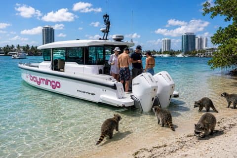 Excursão privada de luxo de 5 horas a Raccoon Island a partir de FTL