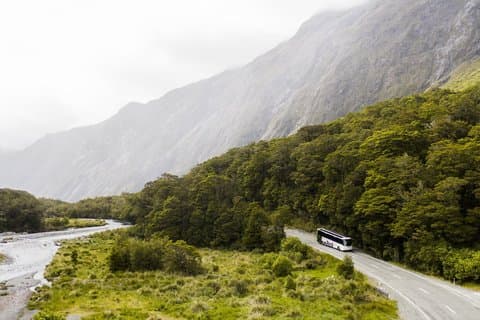 Milford Sound Day Coach Cruise from Te Anau