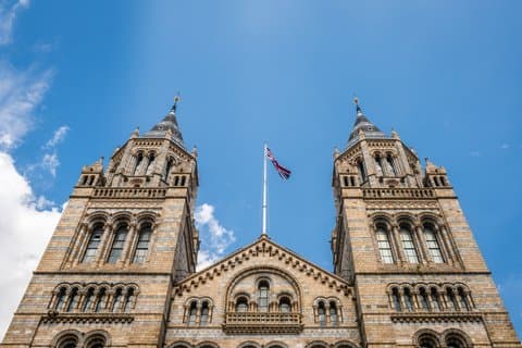 Naturhistorisk Museum guidet tur i London med hurtig adgang
