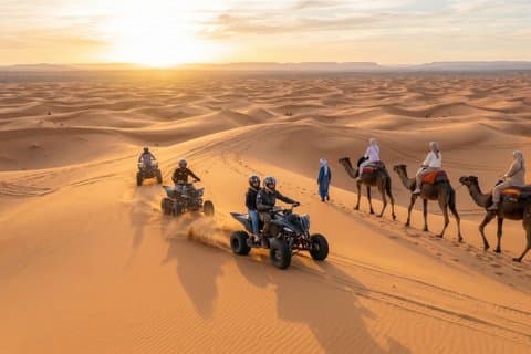 Desert Tour: Camel, Quad Bike, Sandboarding & BBQ Dinner