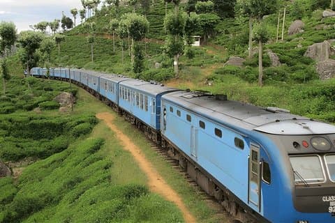 Trajet en train de Ambewela à Ella (Train No 1005/1015)