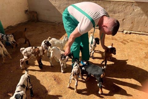 Cheese Making Workshop in Fuerteventura with Breakfast