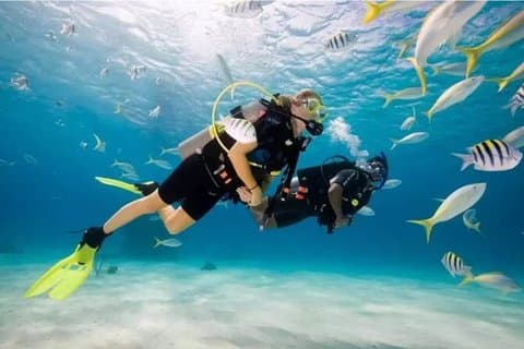 Boracay Diving w / Bilder & Video oder Fun Dive