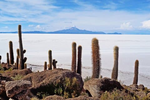 Salar de Uyuni y Lagunas Tour 2 Días 1 Noche