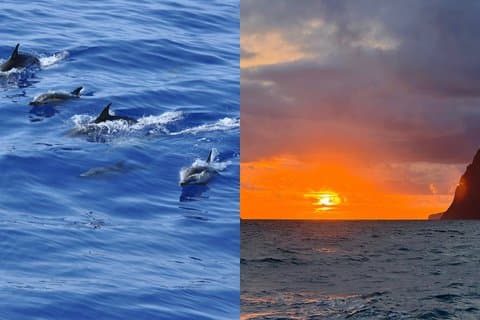 Private Catamaran Tour with Open Bar from Funchal