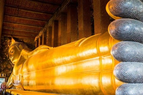 Visita nocturna con gatos del templo