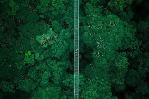 4 in 1モンテベルデ雲の森プライベートコンボツアー