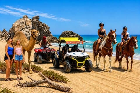 Los Cabos: Vælg 3 – ATV, Razor, Kamelkørsel eller Ridning