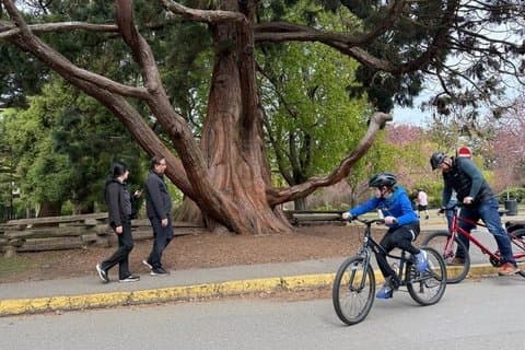Explorez les sentiers pittoresques de Victoria avec une location de vélos depuis le port de croisière