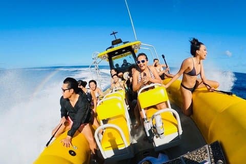 North Shore Snorkel Adventure : Waimea Bay en Wānanapaoa Island
