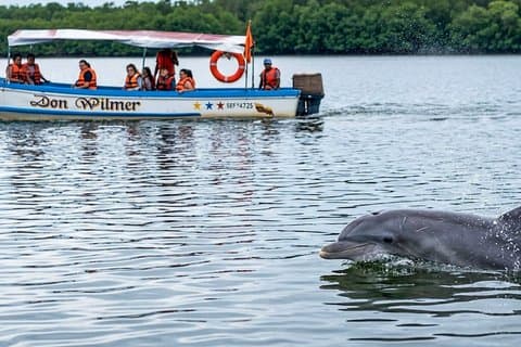 Full Day Tour Mangroves Dolphins and Cocoa Farm from Guayaquil