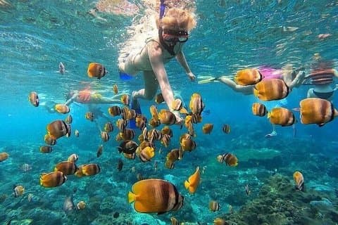 Skräddarsydd Nusa Penida Snorkling & Land Experience