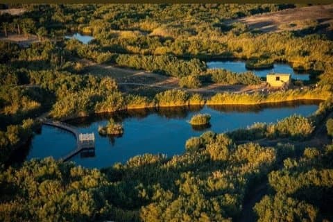 Private Tour of Desert Castles Eastern Jordan with optional Azraq Wetland Visit