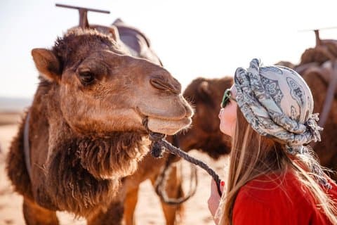 Sharm El Sheikh: Morgon ATV Fyrhjulingssafari till Echo Mountains