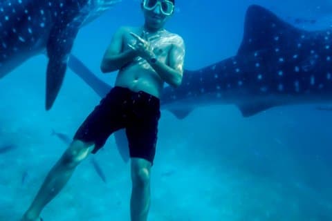 Hoteller i nærheden af Oslob Whaleshark + Tumalog & Sumilon Sandbar