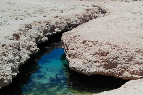 Ras Mohammed nationalpark dagstur med buss