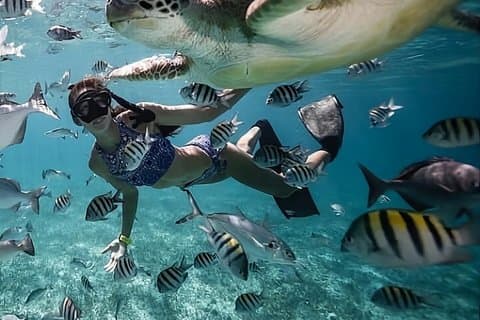 Private 3 Gili Islands Snorkeling Tour from Lombok