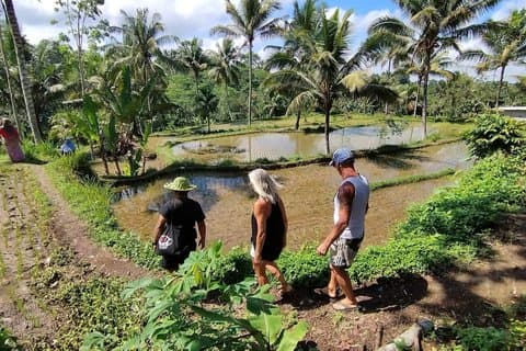 Tetebatu Village, Rice Fields & Monkey Forest ,Tour (Lombok)