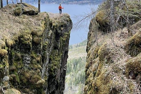 Alla scoperta delle foreste panoramiche di Oslo