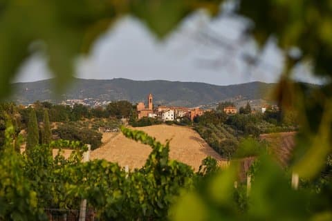 Umbria like a local: Private Wine Tasting & Dining Experience