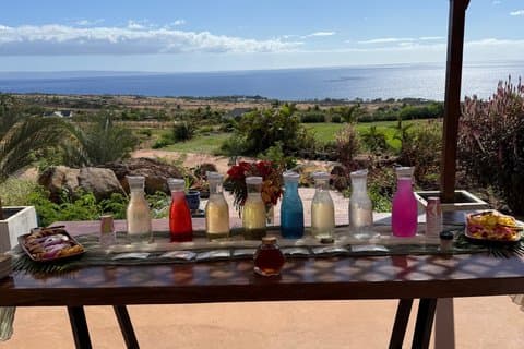 Örtteprovningstur på Maui Dragonfruit Farm