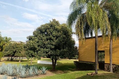 Tour Destilería Herradura con Cata Premium desde Guadalajara