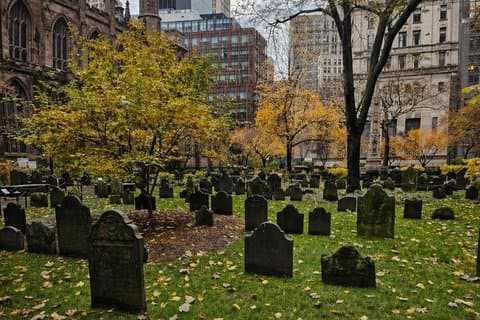 Death in New York: Extended Daylight Tour (Lower Manhattan)