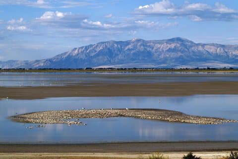 Tour de 4 días en Yellowstone por Salt Lake City (ida y vuelta)