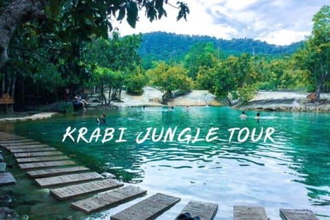 Tour della giungla di Krabi tutto il giorno (acqua termale, piscina color smeraldo, tempio della grotta della tigre)