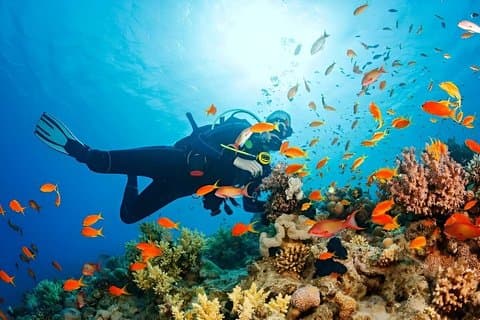 Hurghada dykning og snorkling dagstur med VIP båd