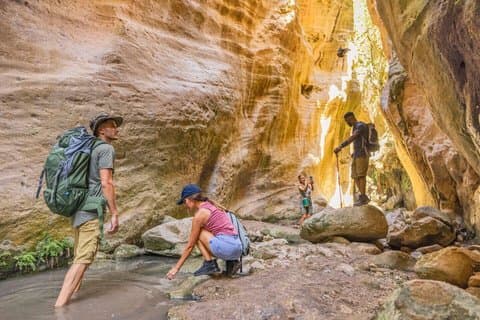 Minibus Safari: Avakas Gorge Lara Beach Sea Caves and Edro III.