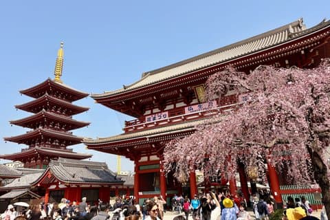 Tokyo Private Half-Day Tour by Car with Local Guide