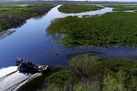 2-Hour Airboat Adventure