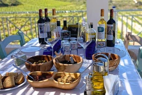 Olives & Olive Oil Tasting + Wine tasting (3 in 1 Experience!)