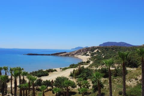 Private Shore Tour: Zorbas Beach, Venizelos Graves og Chania Town