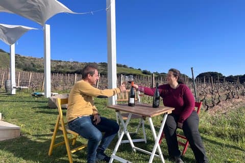 Weintour von Cagliari - Besuchen Sie den Weinberg und die Weinprobe
