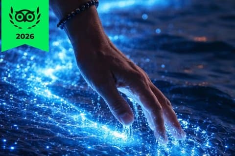 Cocos Bioluminescentie Tours