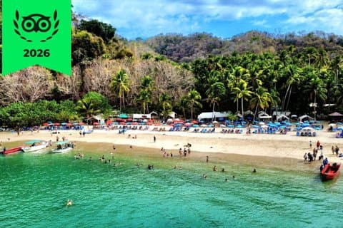 Tortuga Island, vertrek vanuit Puntarenas, inclusief snorkelen en lunch!